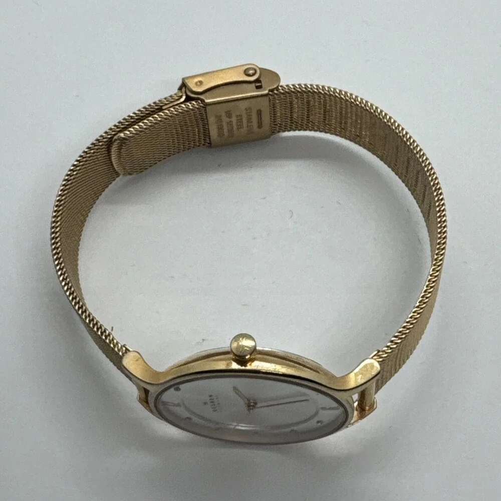 Skagen SKW2151 Womens Stainless Steel Mesh Analog Dial Quartz Wrist Watch AEA280